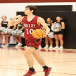 Saba Bershivilli ( Molloy University )